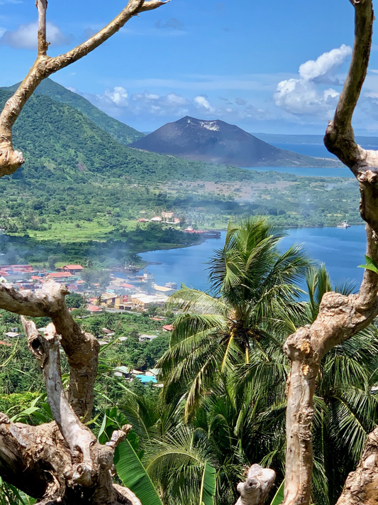 Papua New Guinea - High Point Coffee