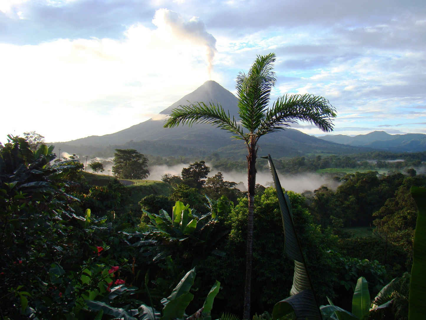 Costa Rica - High Point Coffee